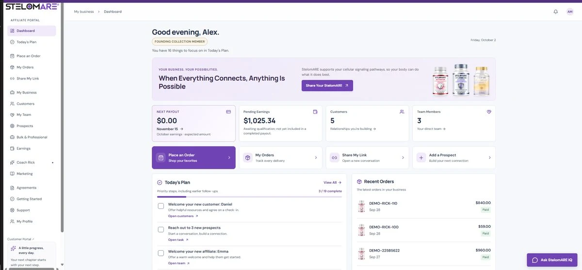 Stelomare — actual project screenshot